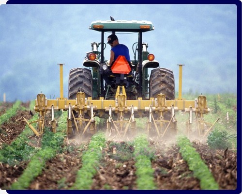 Linha agrícola